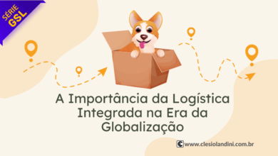 Logística Integrada na Era da Globalização