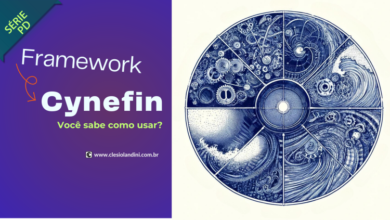 Framework Cinefin